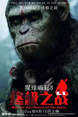 假如爱有天意海报